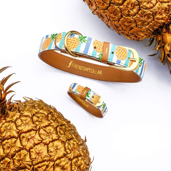 Friendship Collar – wholesale Pet collar – Dog – Pina Collarda9