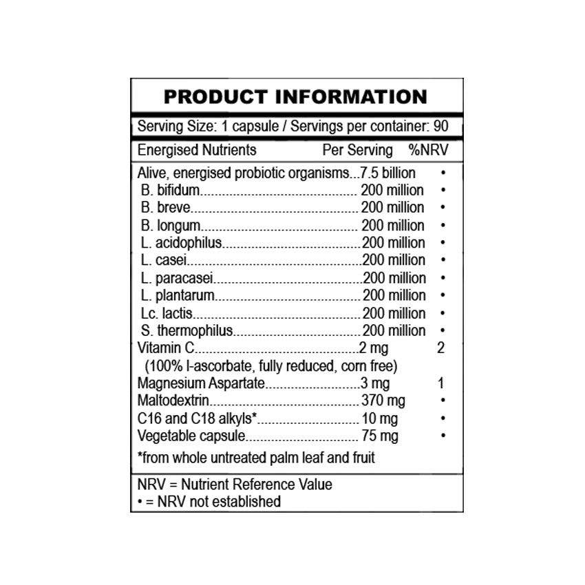 Ancient Purity – Engroshandel Kosttilskud og vitaminer – Synergy Probiotika - 90 kapsler | Levende, Potent, Stabil ved stuetemperatur6