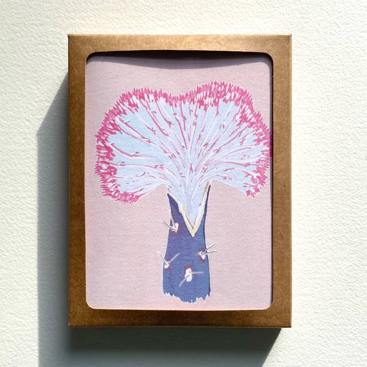 Coral Cactus Box Set for wholesale by LLUBAV CO.