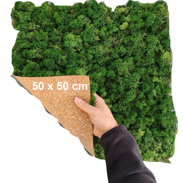 Reindeer Moss Lichen Panel 50x50 cm Forest Green - MossHouse and other Purchase Wholesale artificial green wall. Free Returns & Net 60 Terms on Faire trending on Faire.