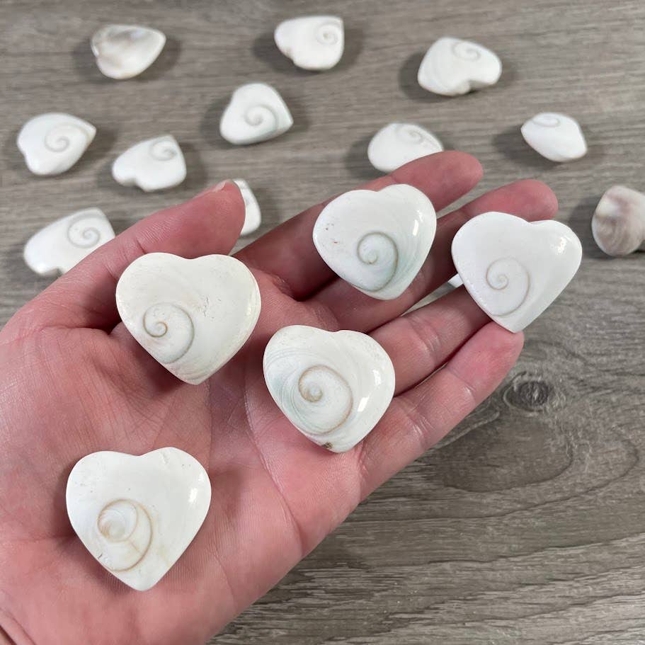 Keystone Crystals - Wholesale Spiritual stone/crystal - Shiva Eye Shell Heart – Metaphysical Decor & Gift Item3
