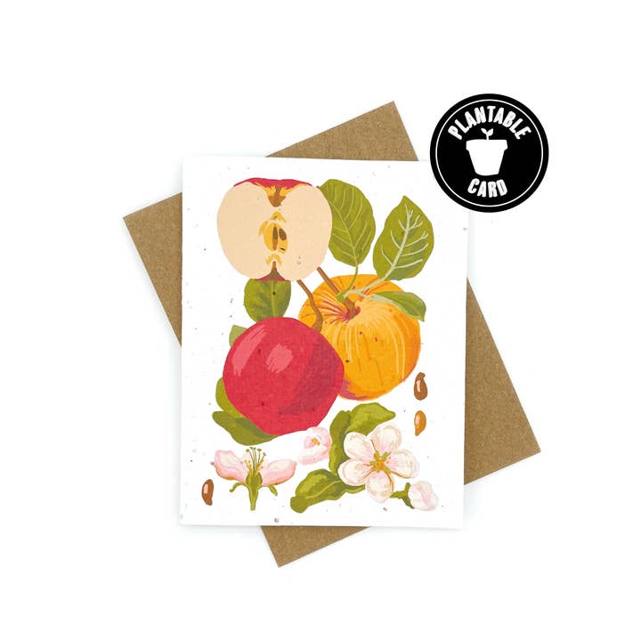 Leere Apple Botanical Karte für den Großhandel von Cato & Company