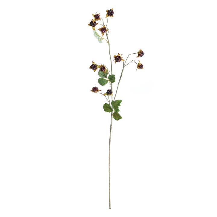 Wild Blackberry Stem 31" for wholesale by Napa Home & Garden