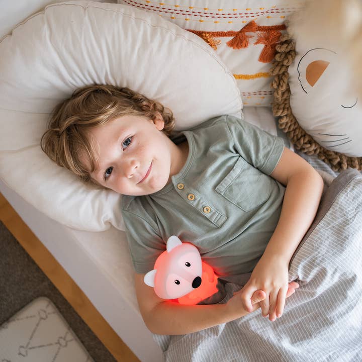 Luminous Distribution - Wholesale Night Light - Kids & Baby - Duski Rechargeable Bluetooth Night Light - Fox6