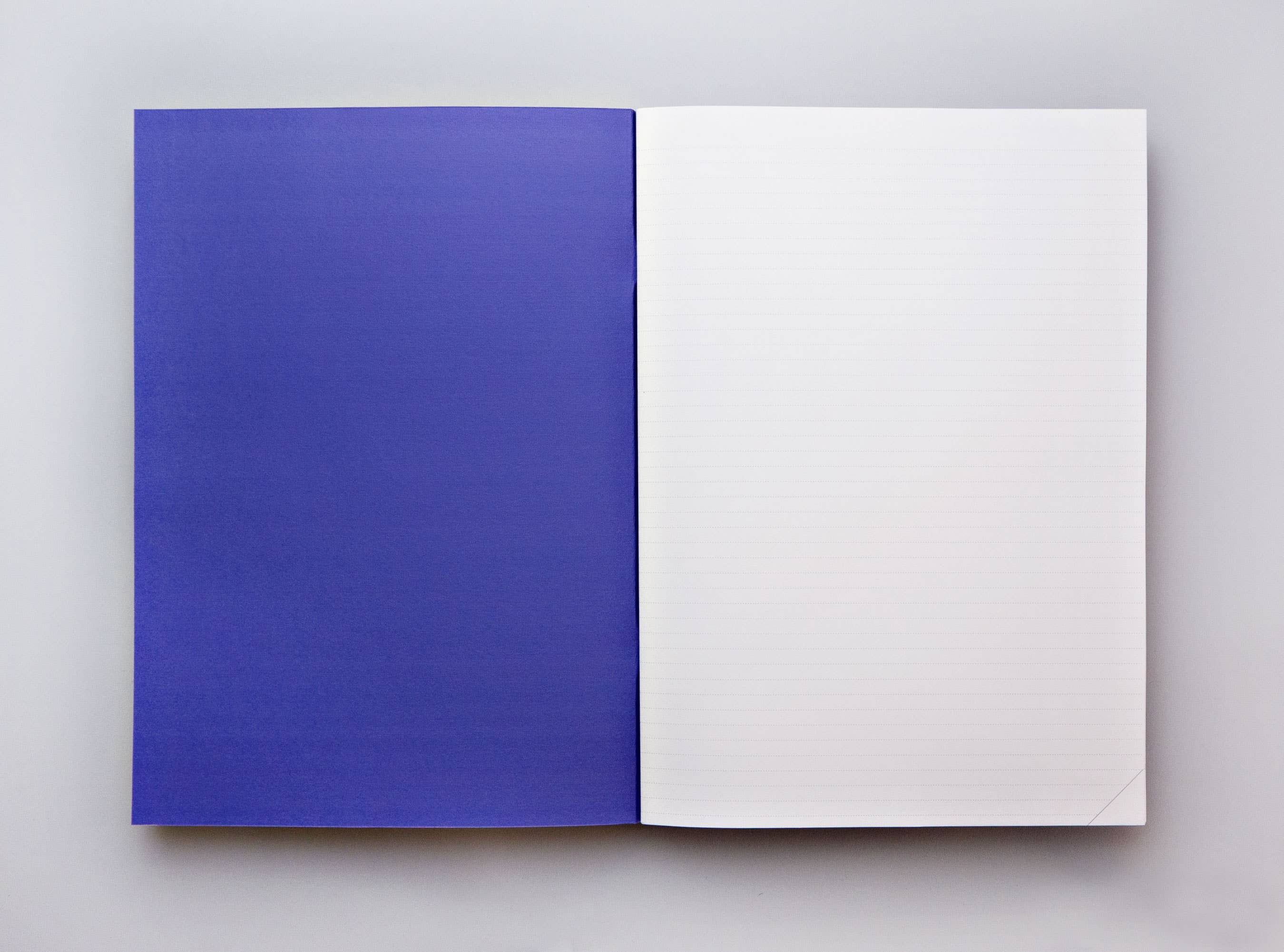 The Completist (No duties on USA orders!) – wholesale Notebook – Mirrors A4 Notebook3