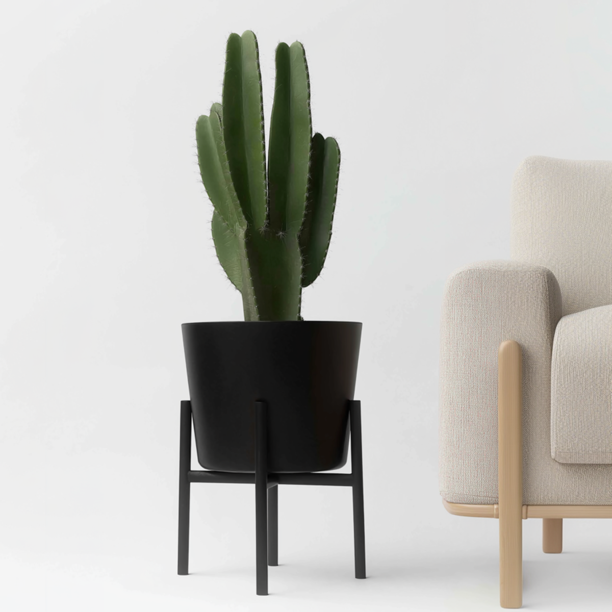 Oasis of Life - Wholesale Succulent - Cowboy Cactus Euphorbia Ingens – Height 85–95cm – Ø24cm – Large easy-care desert plant with spines – Decorative succulent for living room & office – Stylish houseplant in modern design1