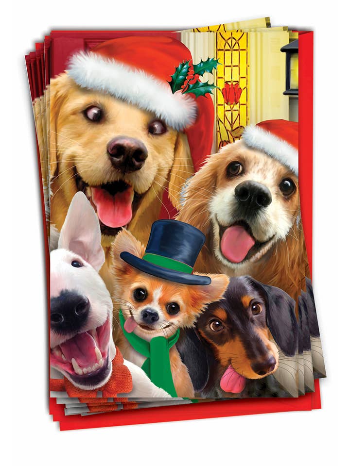 Scatola da 12 biglietti di auguri natalizi con scritta «Merry Christmas to Zoo» per la vendita all'ingrosso da parte di NobleWorks