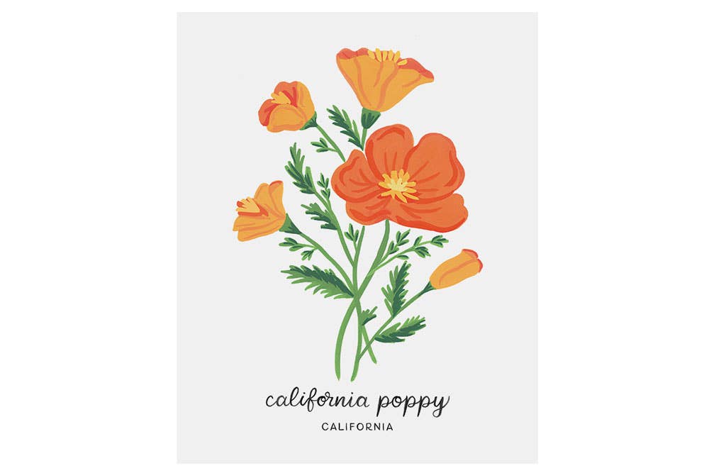LoveLight Paper – Impressão artística por atacado – California Poppy - Impressão artística de flores do estado2
