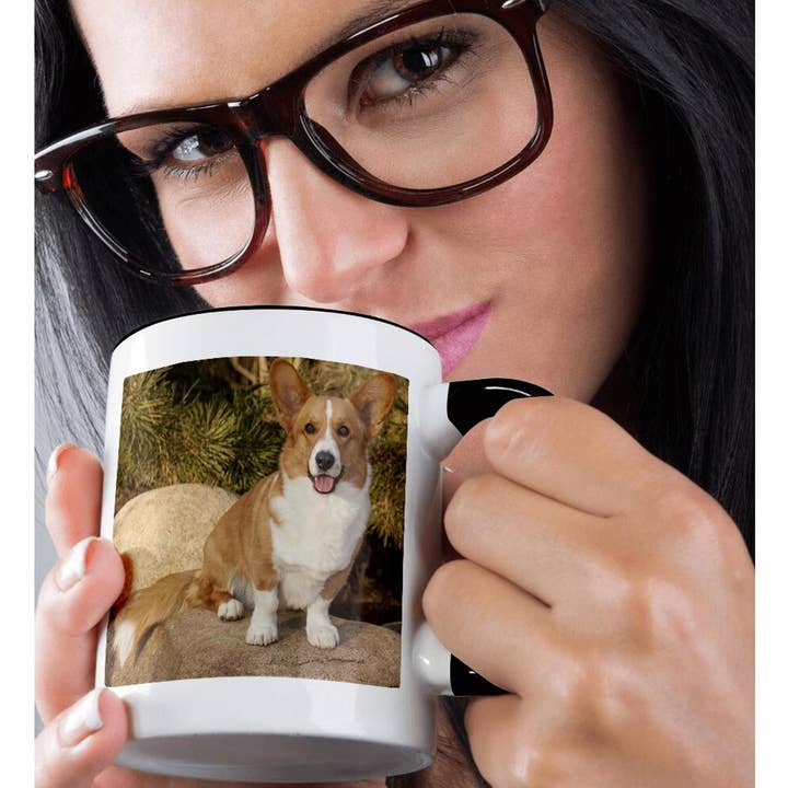 3dRose - Wholesale Coffee Mug - 3dRose, Purebred Cardigan Welsh Corgi Dog on rock - NA02 PWO0023 - PiperAnne Worcester, Mug