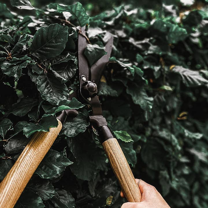 by Benson - Wholesale Garden Tool - Garden Hedge Shears Deluxe5