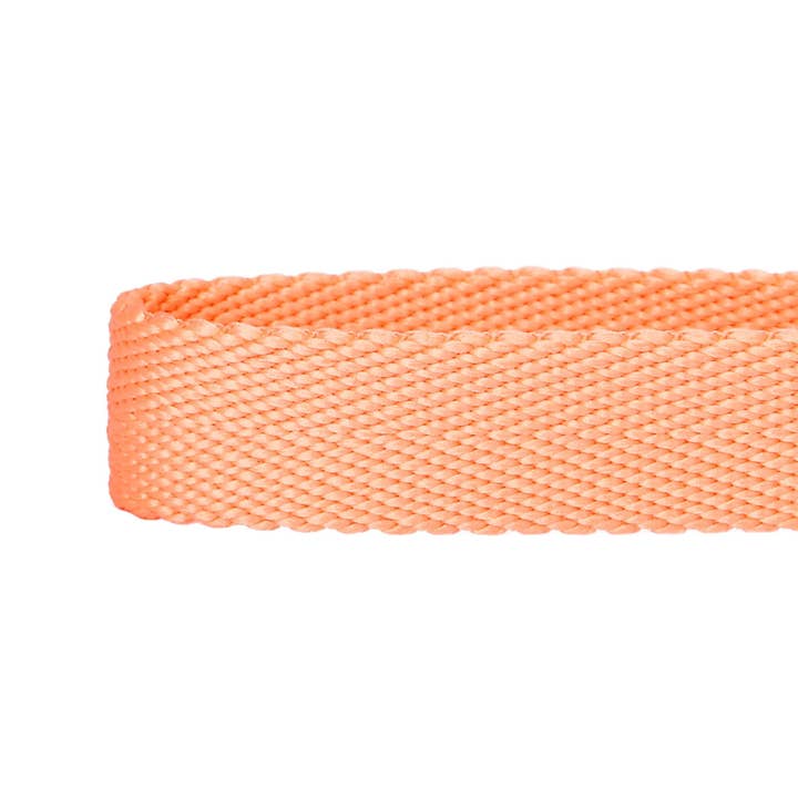 Blueberry Pet - Wholesale Pet collar – Dog - Best-Seller Double D-Ring Dog Collar -Must-Have for All Dogs28