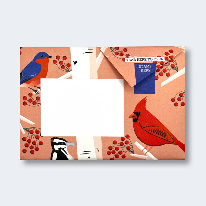 pigeonposted - Wholesale Stationery/Notecard Set - Carnival of Colour Pigeon letter pack