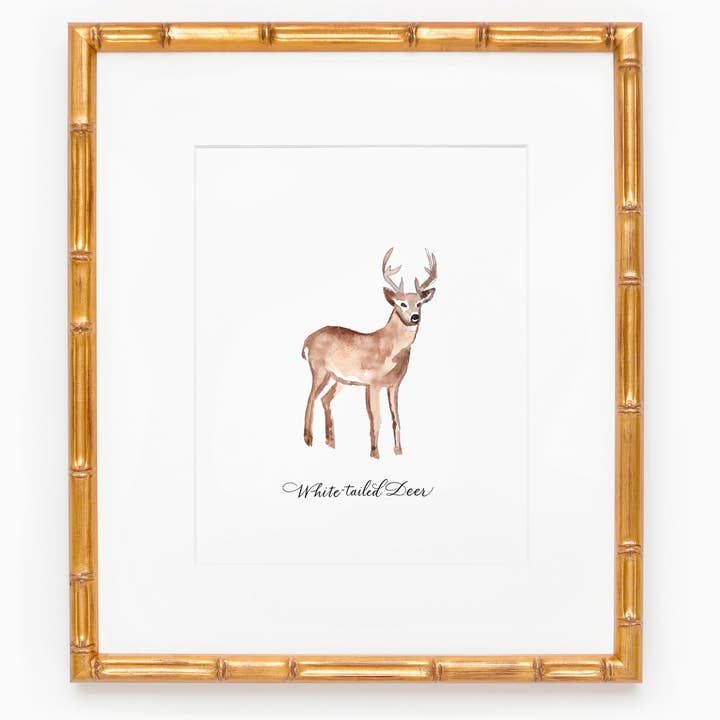 The Georgia Line White-Tailed Deer for wholesale by Claire Sanders Calligraphy