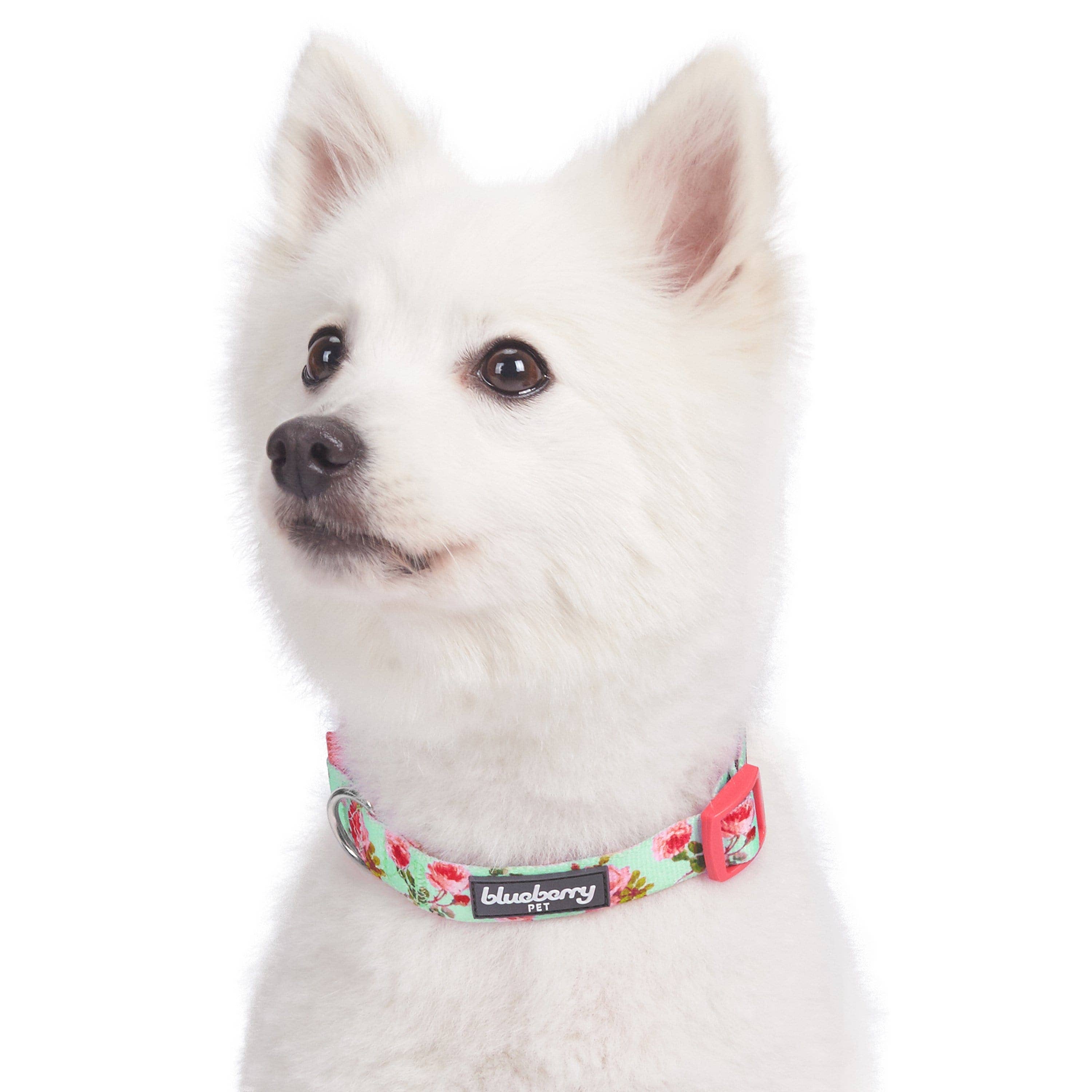 Blueberry Pet - Wholesale Halsband - Hond - Lichtgewicht verstelbare hondenhalsband met lente bloemenpatroon6