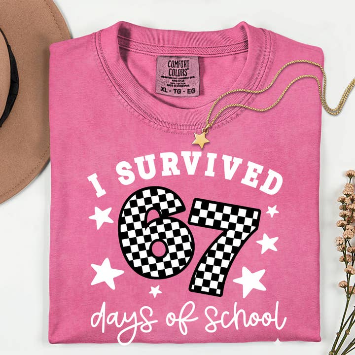 Southern Rheas - Wholesale T-Shirt (Graphic) - Women's - Six Seven Funny Teacher Comfort Colors Shirt, 6 7 School Tee4