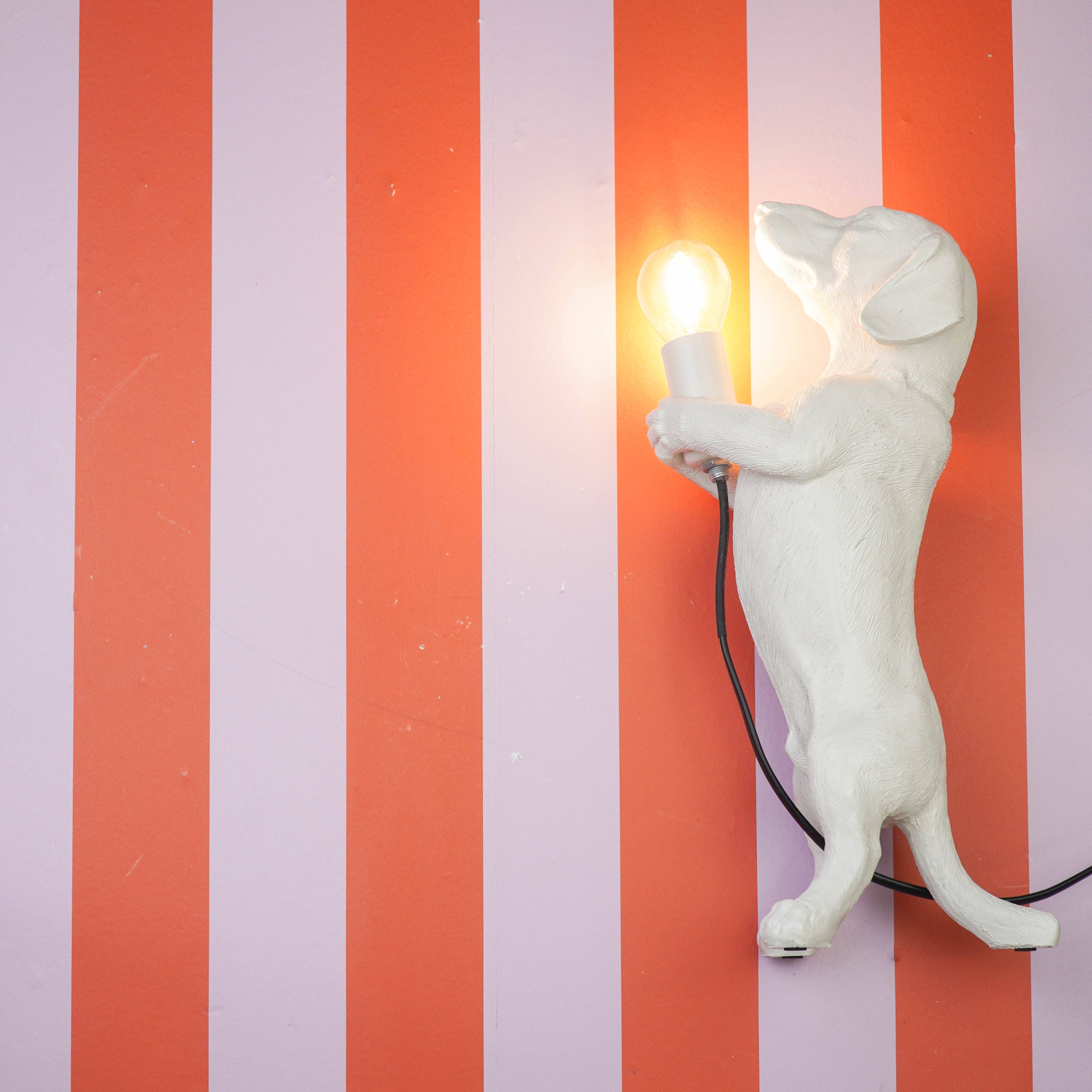 Housevitamin bv - Wholesale Figurine Lamp - Table Lamp - Dachshund Lamp - Polyresin - Cream White - E14 - 10x15x38cm8
