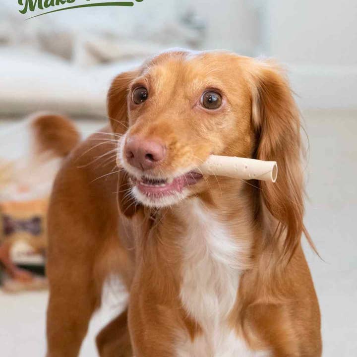 Miro & Makauri - Wholesale Pet Treats - Dog - MaksPatch Dog Treats. Flavour Filled Twist Sticks 110per box