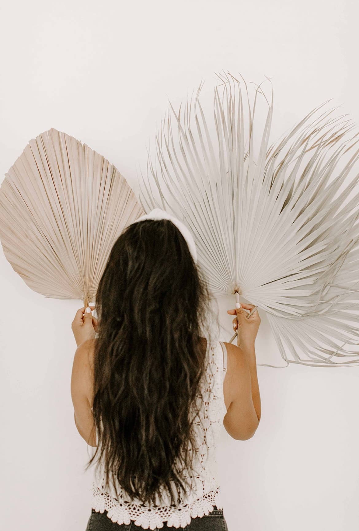 The Blooming Palm - Wholesale Retailermonster - Set van 3 natuurlijke palmwaaierbladeren met veervormige uitstraling + 1 gratis palmwaaier van 51 cm12