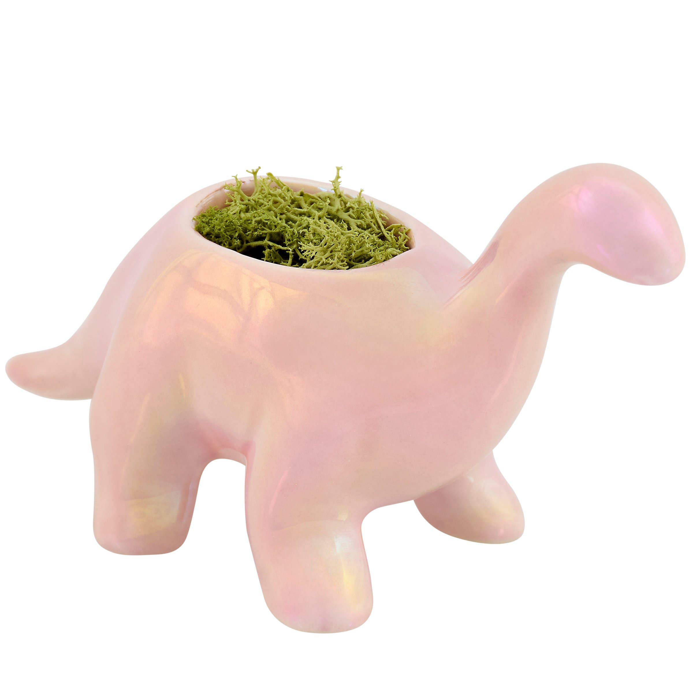 Primitives by Kathy - Wholesale Planter Box - Brontosaurus Planter0