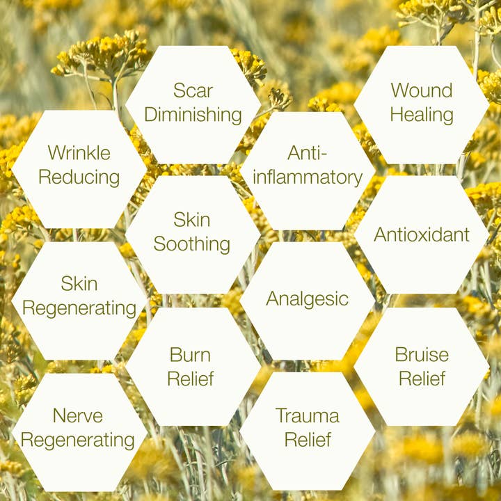Nomad Botanicals - Wholesale Essential Oil - Helichrysum Essential Oil3