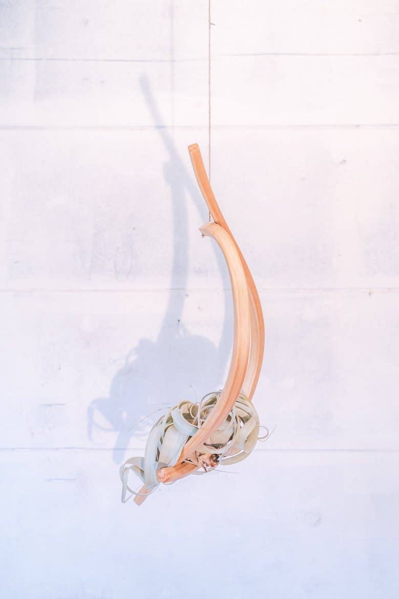 Horsemen Co. - Wholesale Hanging Planter - Sail Wood Plant Hanger, Hanging Planter Indoor, Indoor Hanging Planter, Air Plant Holder3