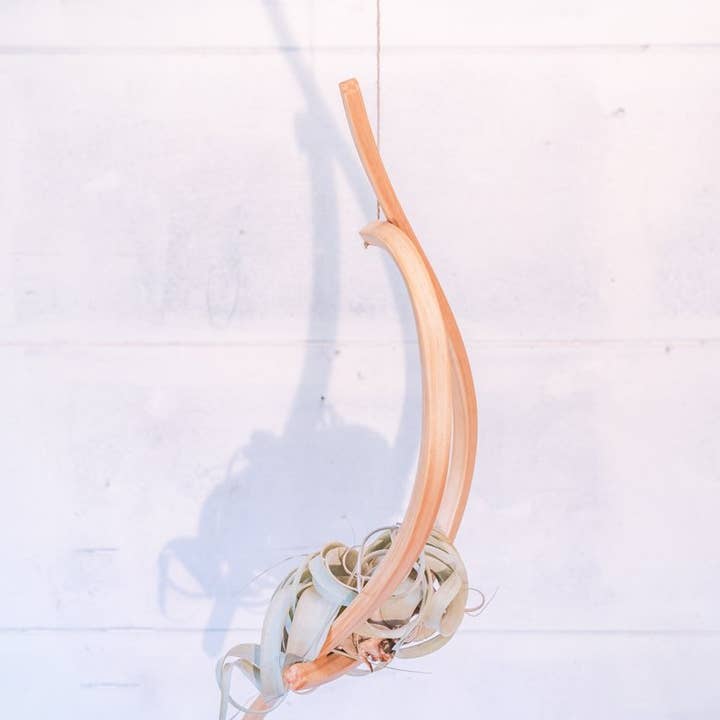 Horsemen Co. - Wholesale Hanging Planter - Sail Wood Plant Hanger, Hanging Planter Indoor, Indoor Hanging Planter, Air Plant Holder3