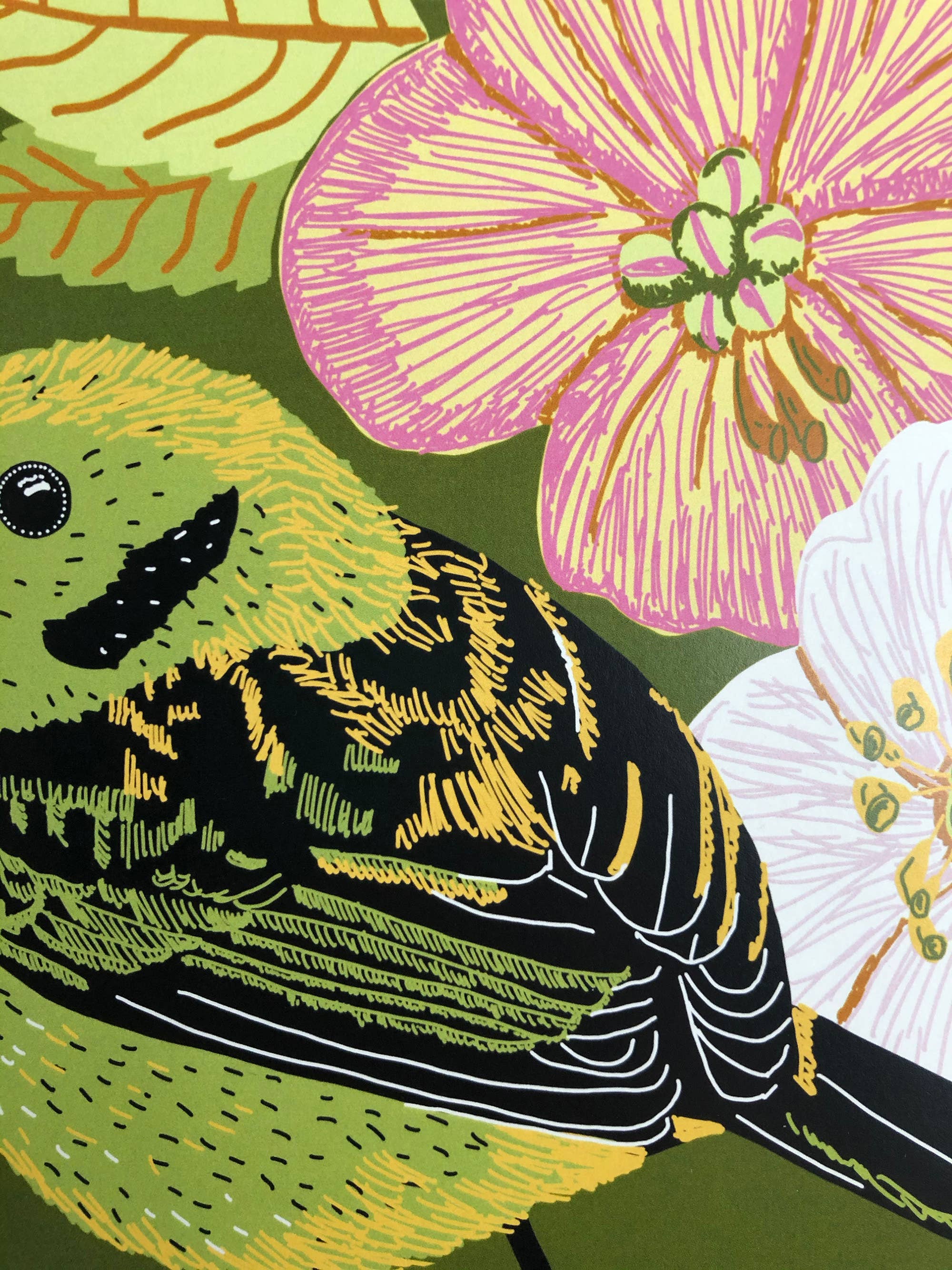 Kate E. Burke - Wholesale Art Print - Bird Series: Emerald Tanager 11x14 Digital Print4