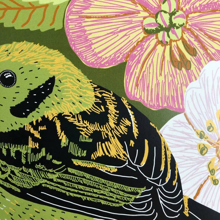 Kate E. Burke - Wholesale Art Print - Bird Series: Emerald Tanager 11x14 Digital Print4