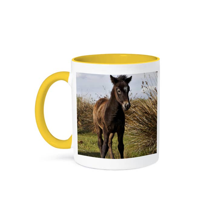 3dRose - Wholesale Coffee Mug - 3dRose, Camargue horse foal, Camargue region, France - EU09 AJE0141 - Adam Jones, Mug