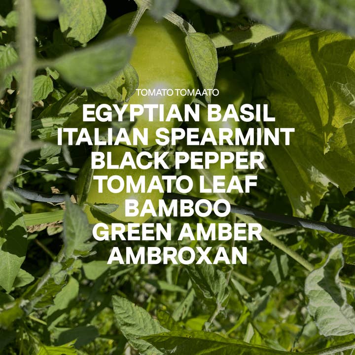 Siblings - Wholesale Jar/Filled Candle - Farm Tomatoes2