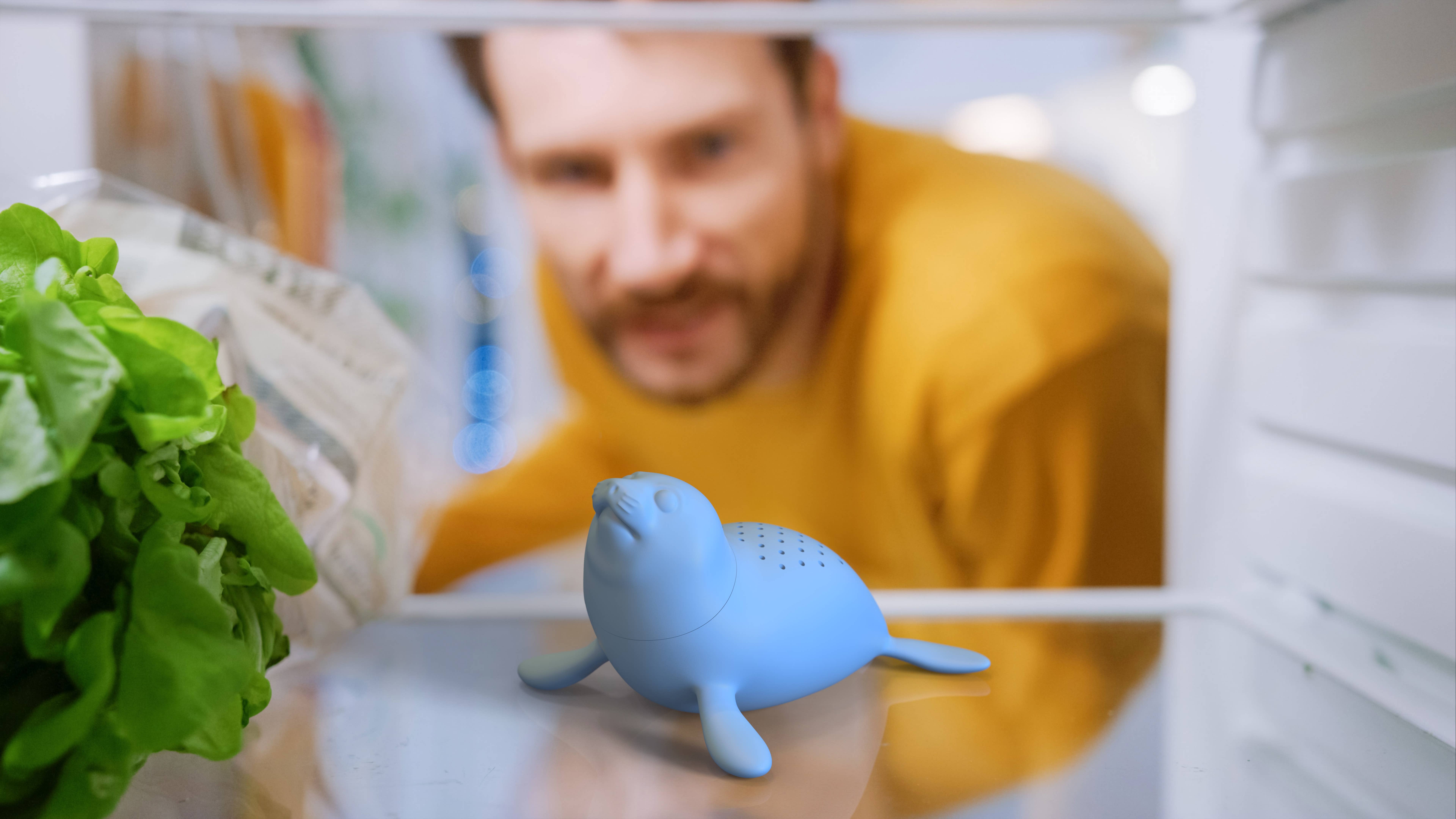 MAGS – Großhandel Lufterfrischer – Robbe Geruchsneutralisierer0