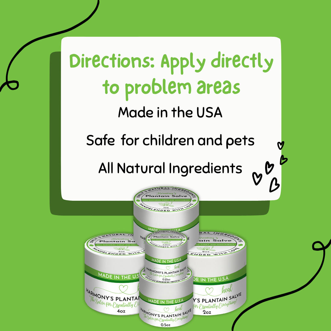 Healthy Energy Amazing Life - Wholesale Healing Salve/Balm/Cream - Plantain Salves7