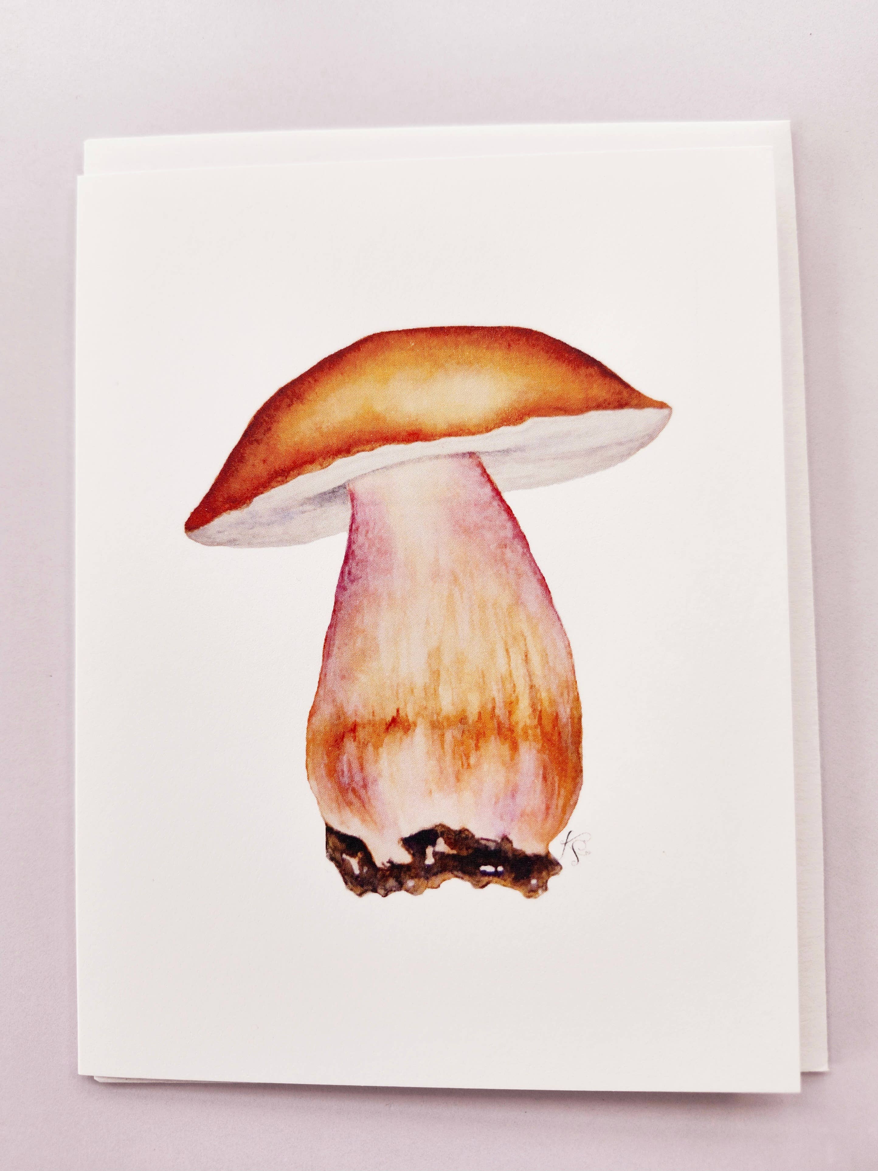 Redbriar Studio - Wholesale Stationery/Notecard Set - Notecards25