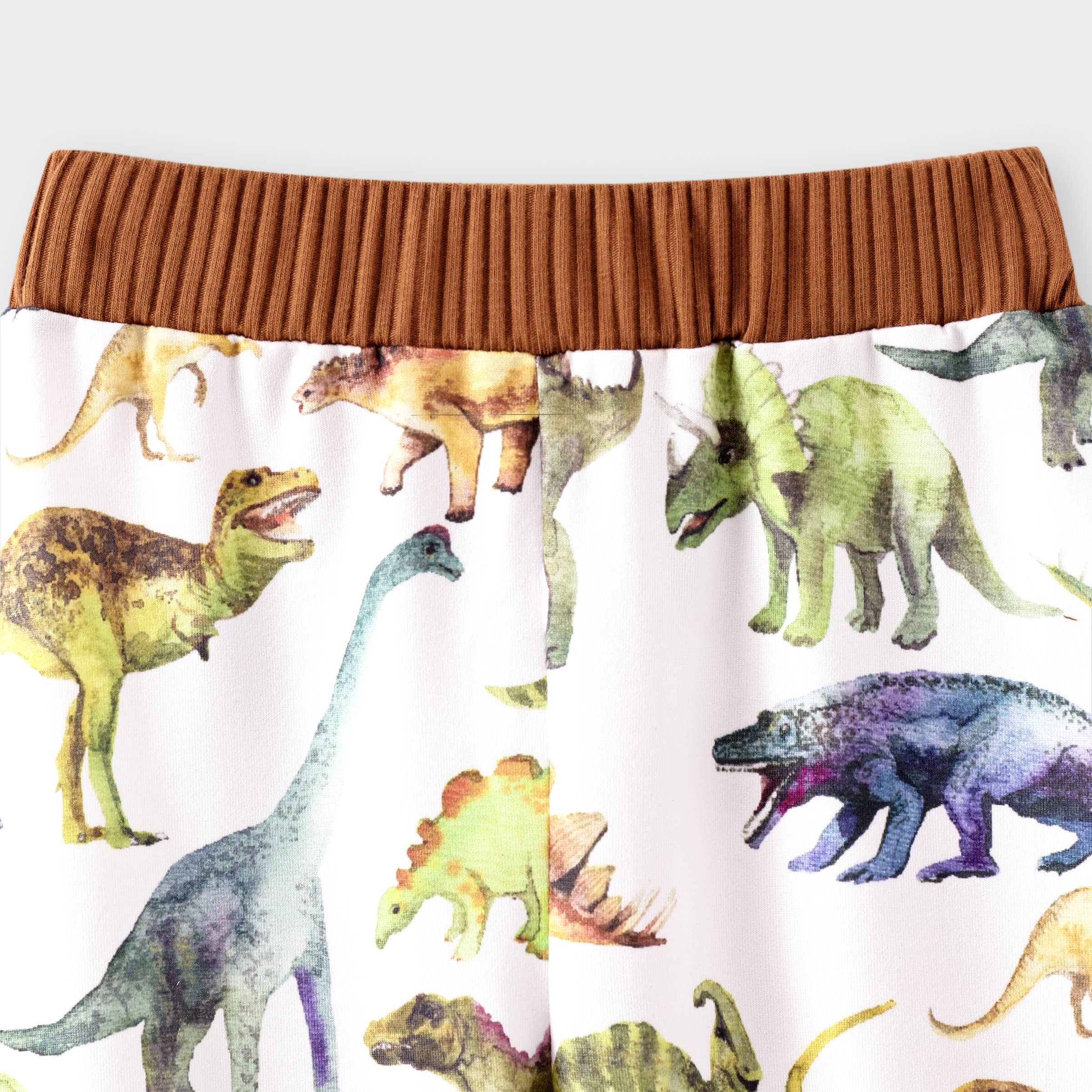 PatPat - Wholesale Top & Pant Set - Baby - 2pcs Baby Boy Solid Cotton Pullover and Dinosaur Pants Set13