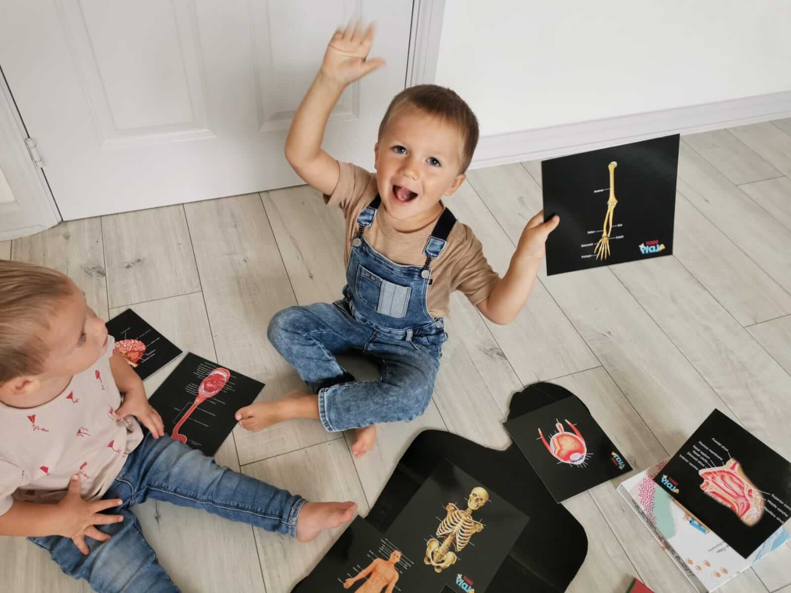 Teddo Play – Großhandel Lernkarten – Kind & Baby – Schließen Sie die pädagogischen Geschenke der menschlichen Anatomie+Werbegeschenke ab5