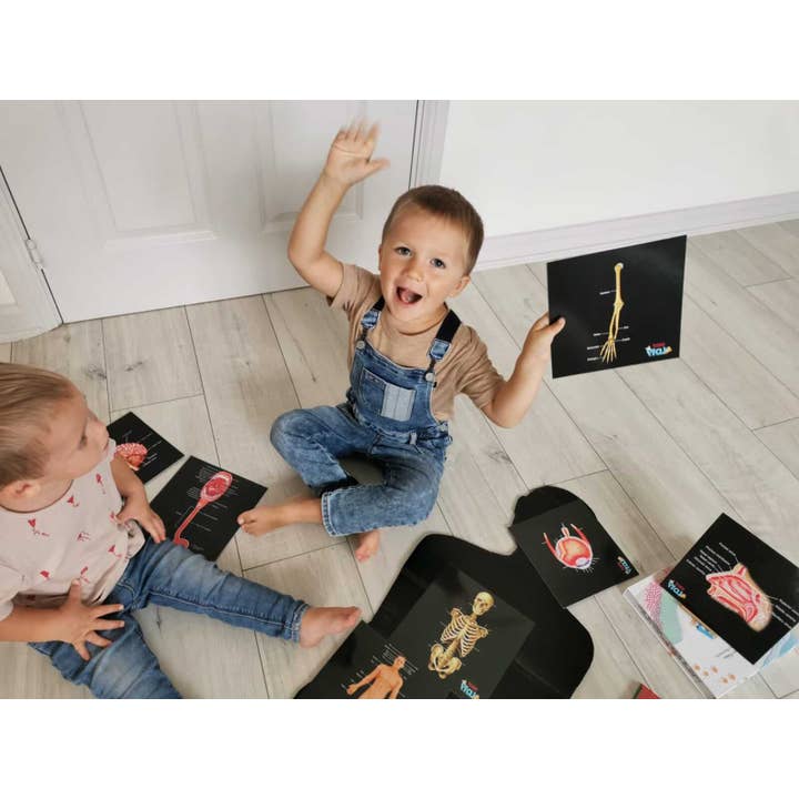 Teddo Play – Großhandel Lernkarten – Kind & Baby – Schließen Sie die pädagogischen Geschenke der menschlichen Anatomie+Werbegeschenke ab5