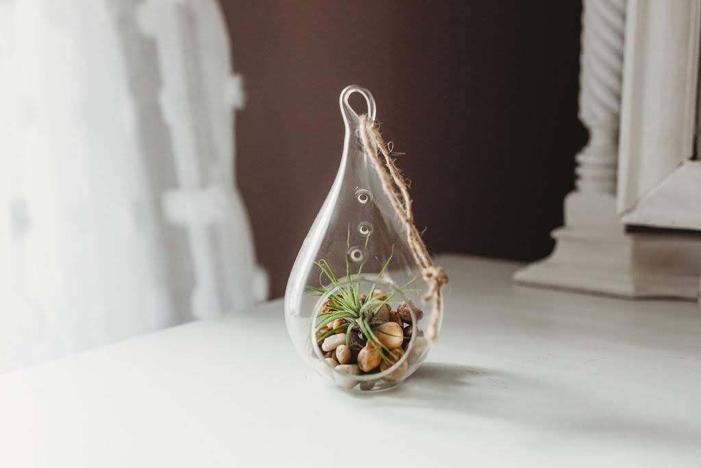The Simply Crafty Shop - Wholesale Terrarium - Pear Shape Terrarium Kit- Semi-Precious Stone40