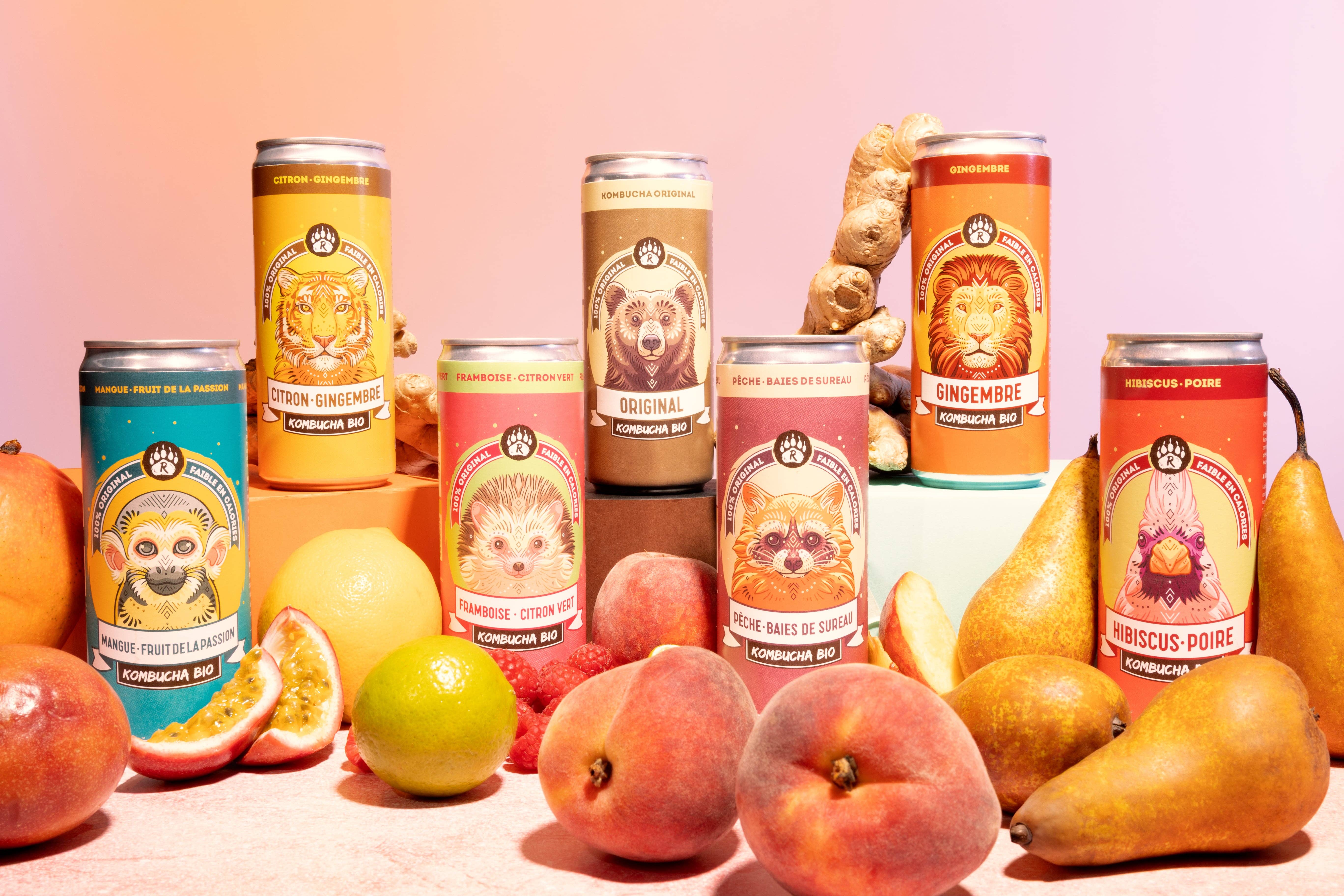 BIO BRASSEURS - Vendita all'ingrosso Kombucha - R-KOMBUCHA - Mango e frutto della passione - Lattina da 33 cl3