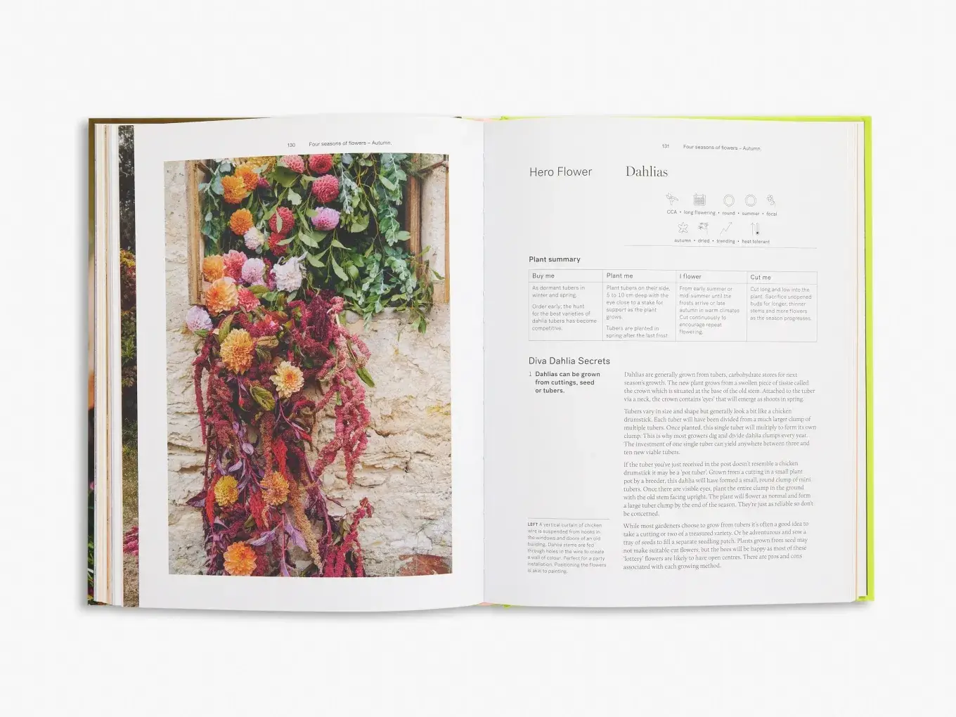 Thames and Hudson - Vente Maison et jardin - Secrets de la ferme florale4