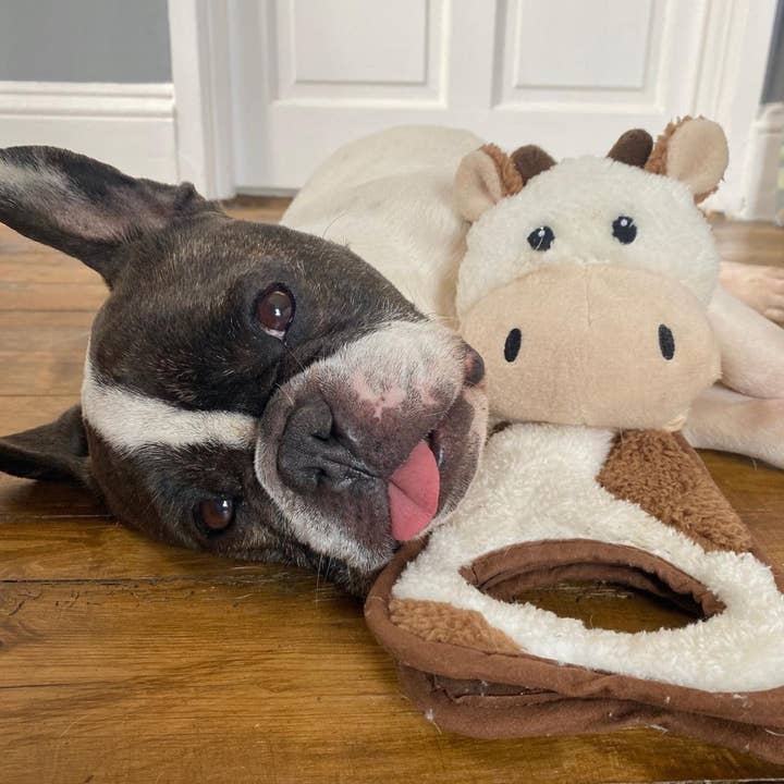 WufWuf - Wholesale Pet squeaky toy – Dog - WufWuf Cow Squeaky Plush Tug Dog Toy5