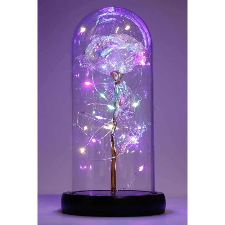 Cap Zone – wholesale Decorative tabletop object – Tall Metallic Galaxy Rose Dome Led Light Stand10