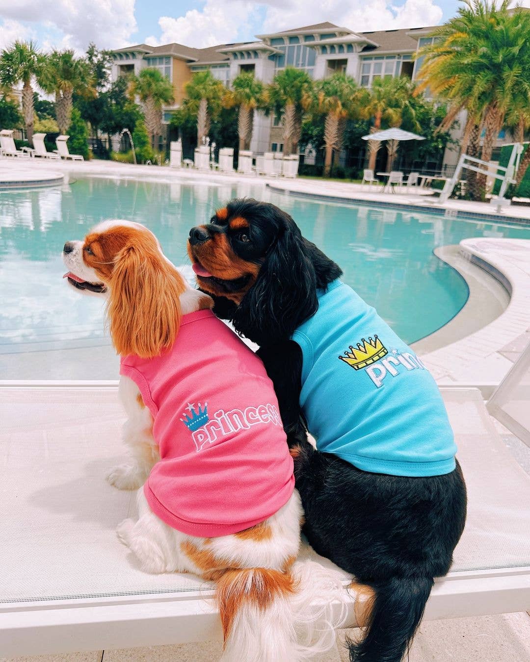 Parisian Pet® - Wholesale Pet Shirt - Dog - Princess Dog T-Shirt – Royal & Stylish Outfit for Small Dogs3