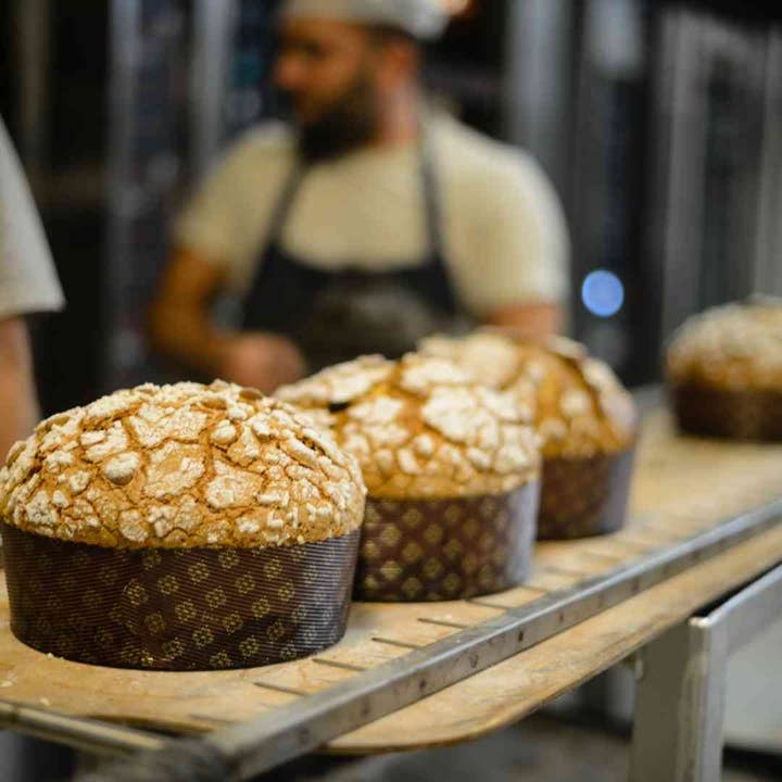 Piccolo Forno - Vendita all'ingrosso Preparati per pane - Panettone artigianale 500grammi