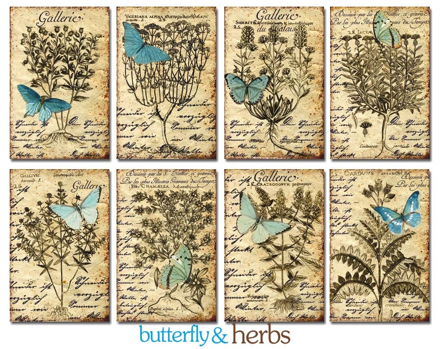 DECORER - Wholesale Gift Tag - Butterfly & Herbs - Gift Tag Set3