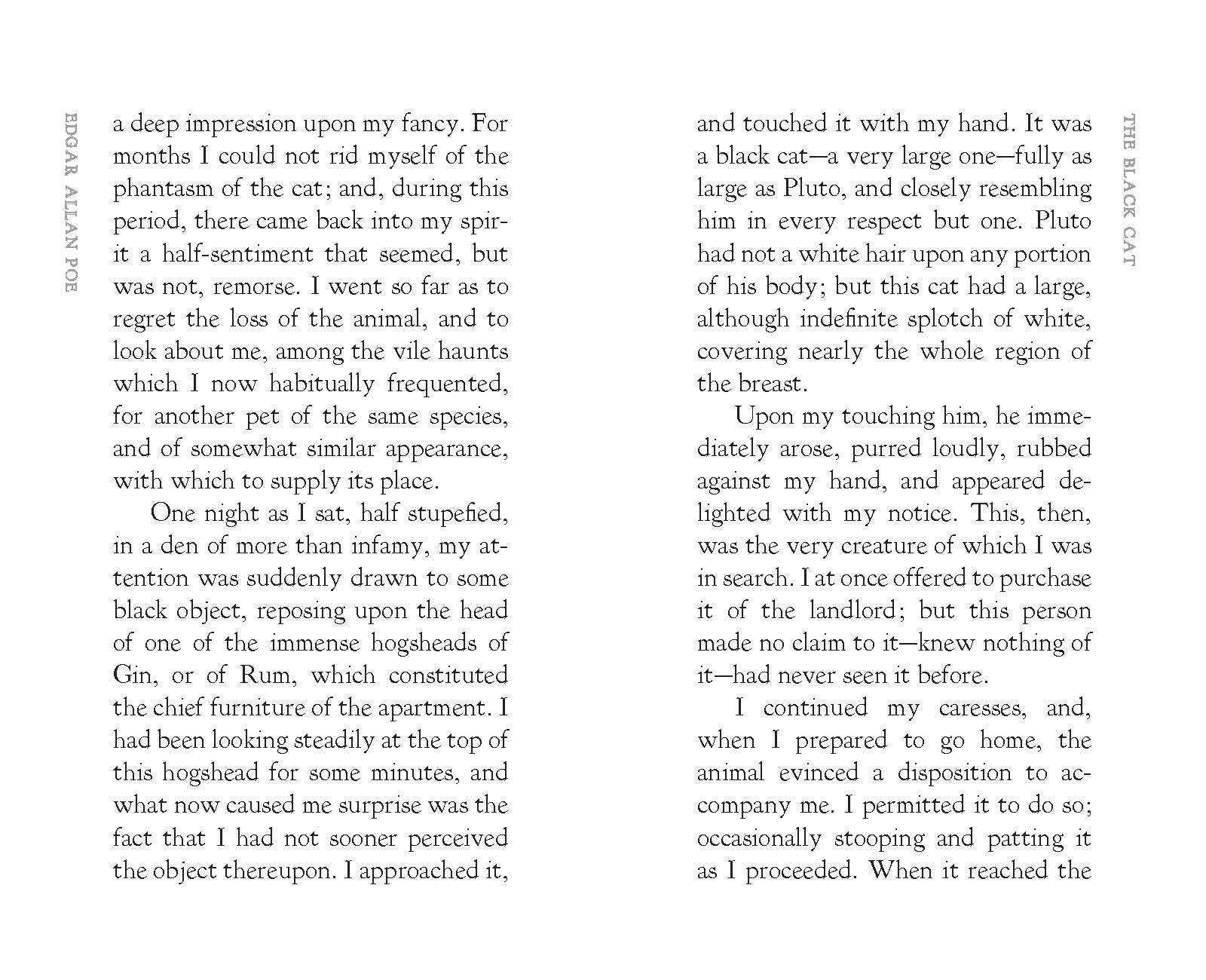 Applewood Books - Wholesale Classics - The Black Cat2