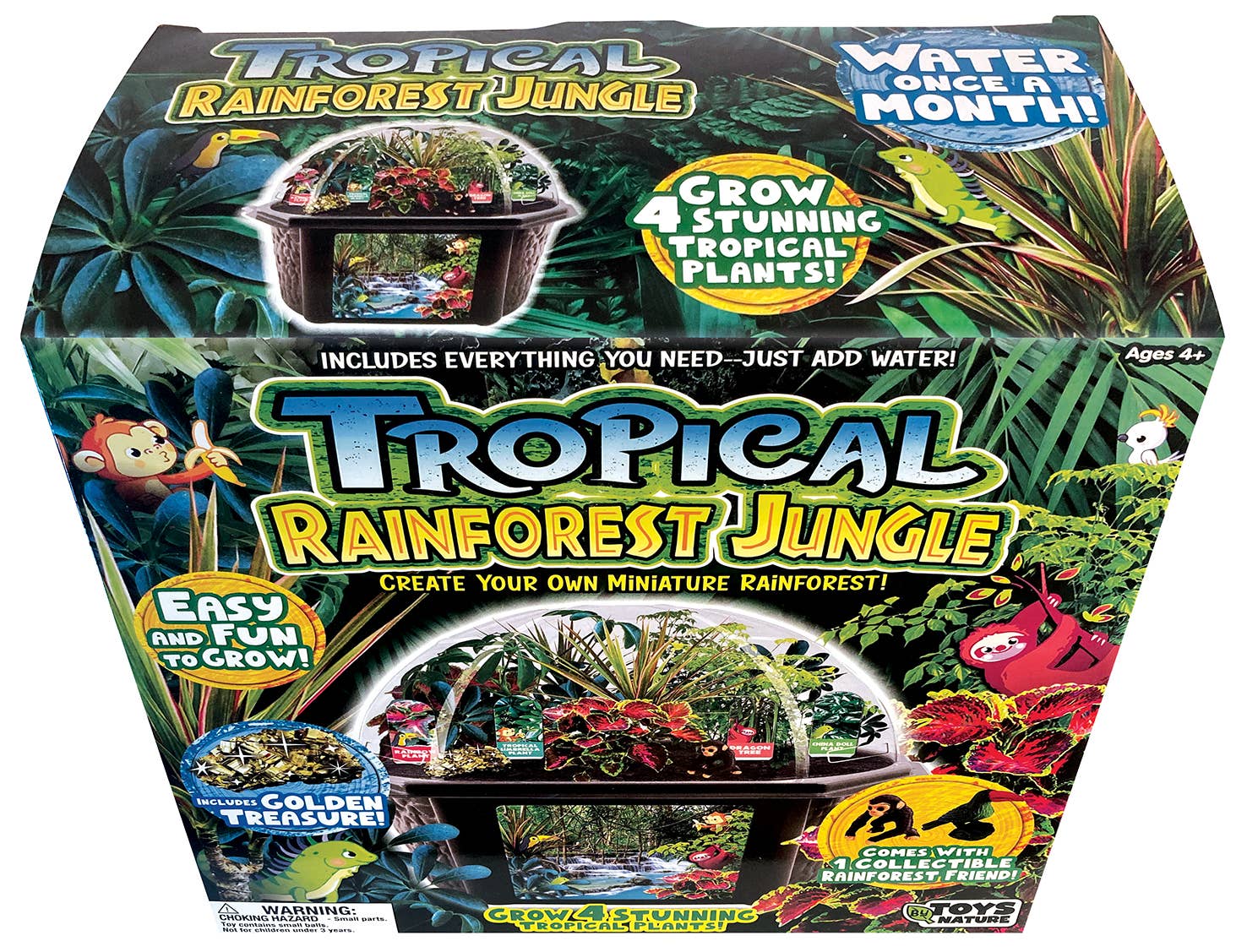 Silver Circle Products - Wholesale DIY Craft Kit - Kids - Tropical Rainforest Jungle Biosphere Terrarium8