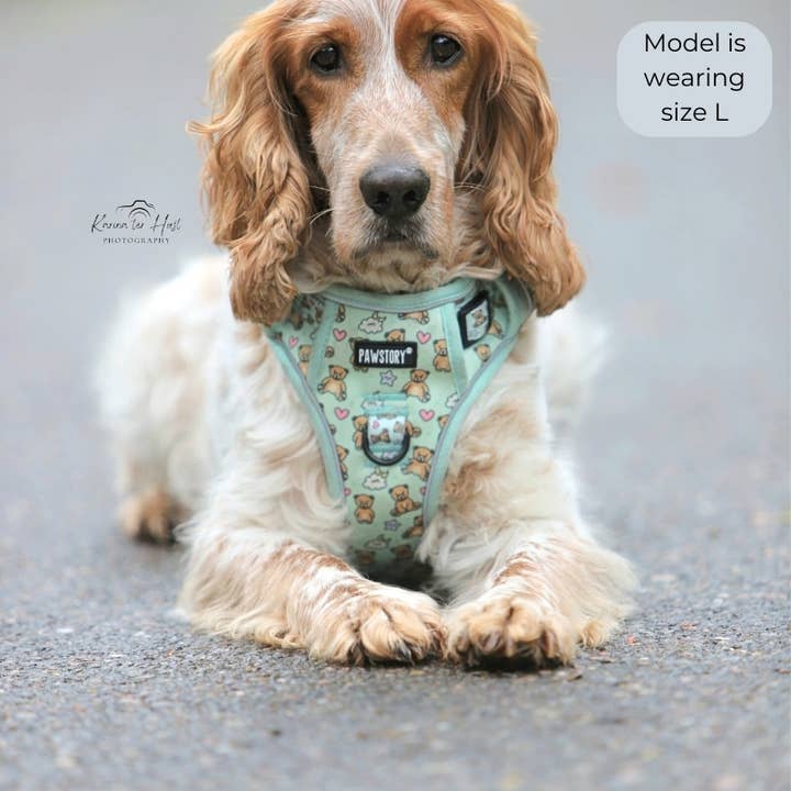 PawStory – Arnês – Cão por atacado – Peitoral Trail Buddy - Bear Hugs3