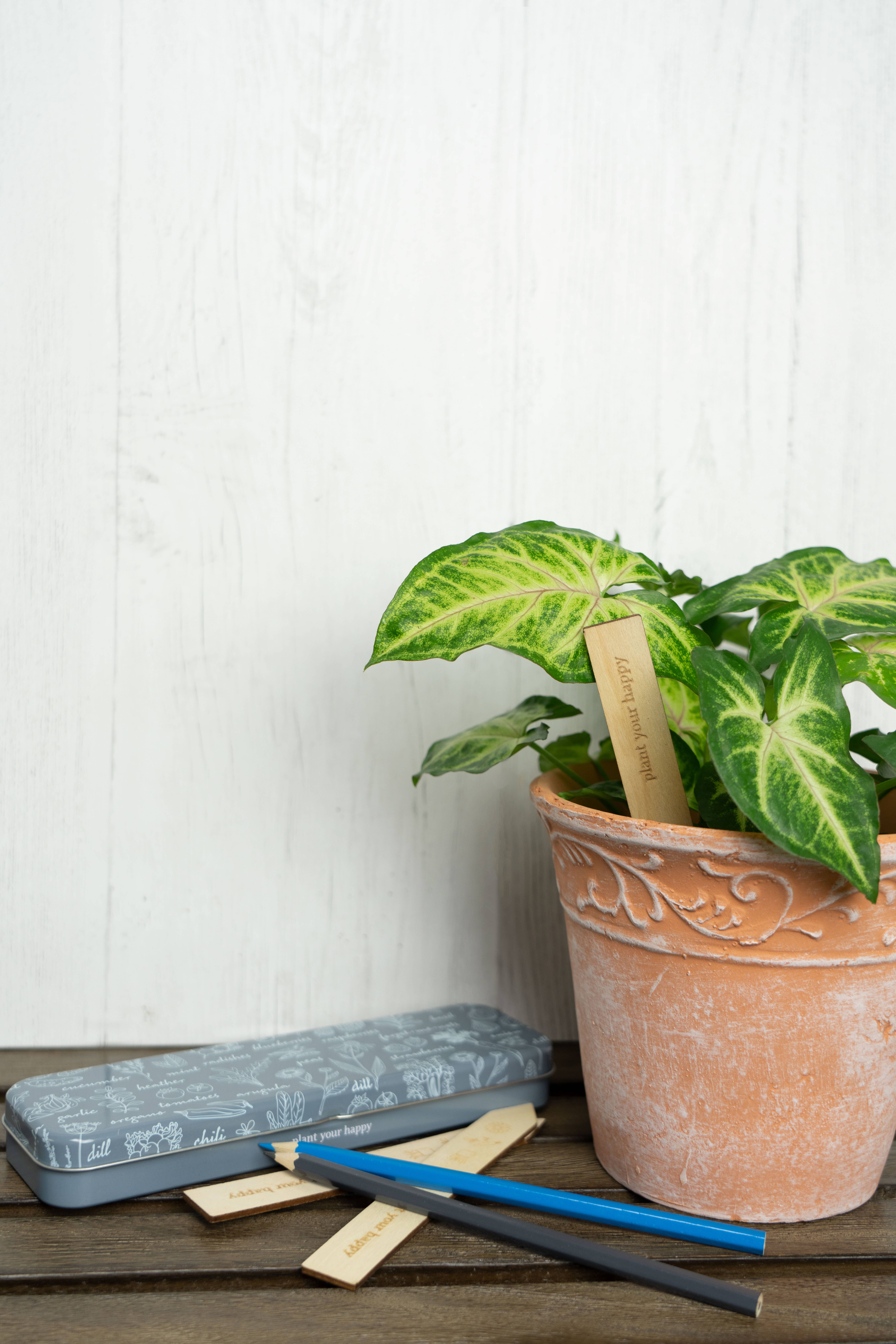 DM Merchandising - Wholesale Garden Tool - Seed & Sprout Gardening Labeling Set3