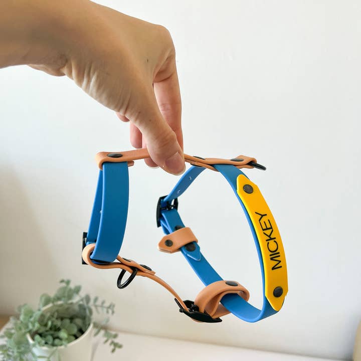 Kina Dogs - Vente Harnais – chien - Harnais personnalisable en PVC11