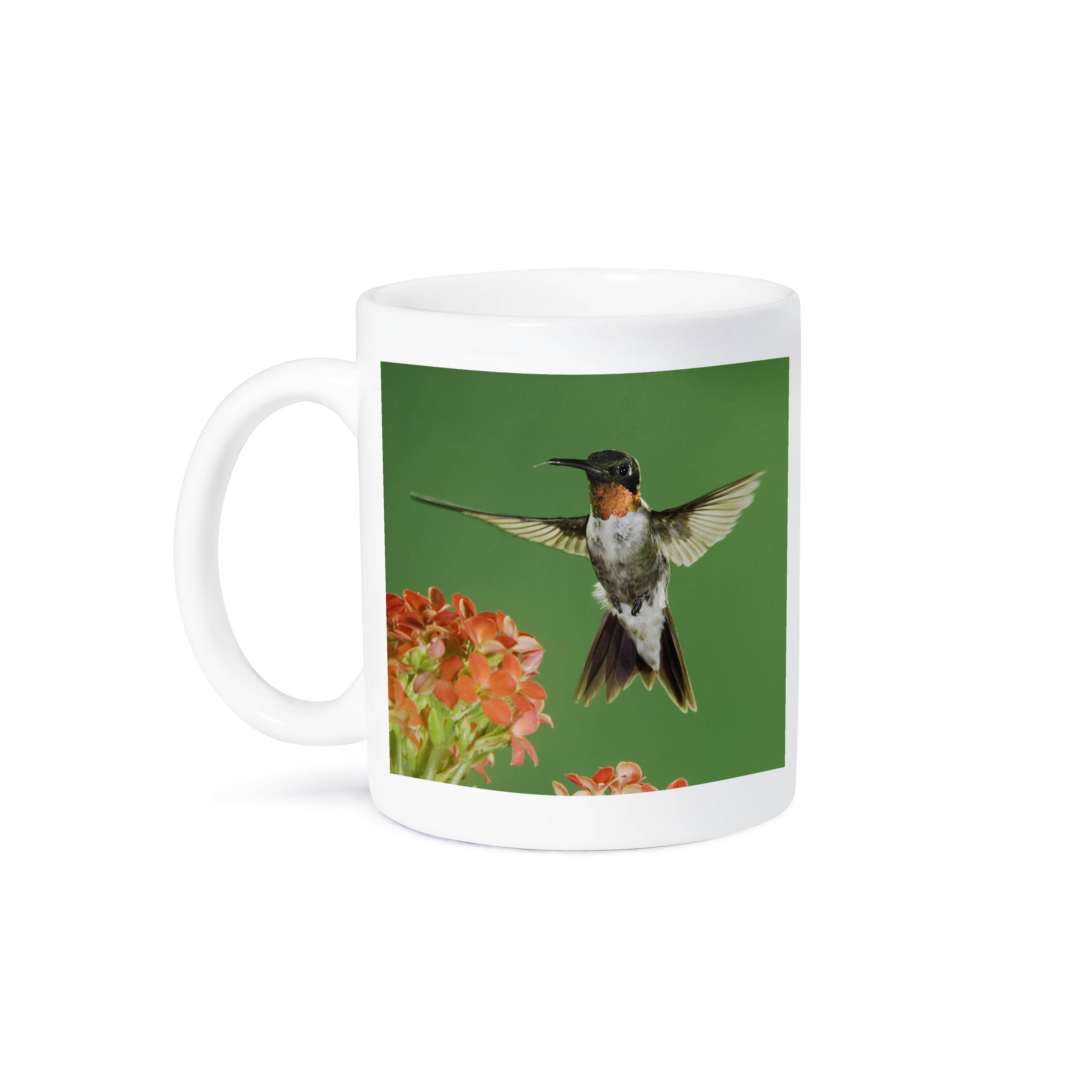 3dRose - Wholesale Coffee Mug - 3dRose, Ruby-throated Hummingbird, Kalanchoe Flower Texas - NA02 RNU0765 - Rolf Nussbaumer, Mug8